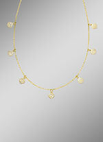 Geweldige ankerketting met rozen 