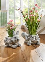 Bosje gras in magnesia pot 