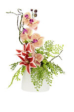 Charmant orchideeënarrangement in een vaas 