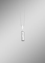 Vulbare ashanger dierenpoot 