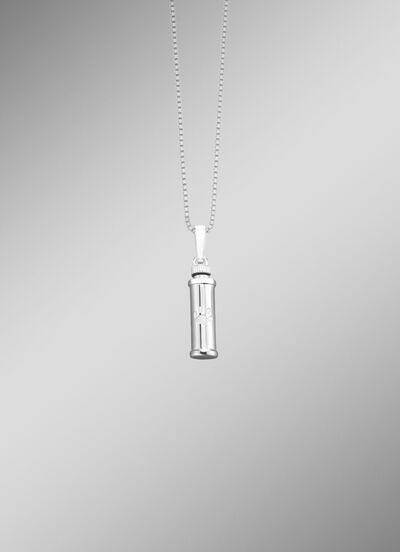 Vulbare ashanger dierenpoot 