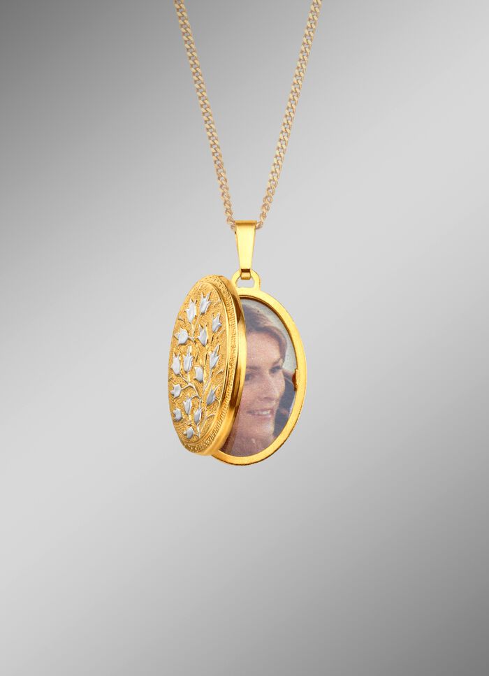 Medaillon om te openen in tweekleurig 