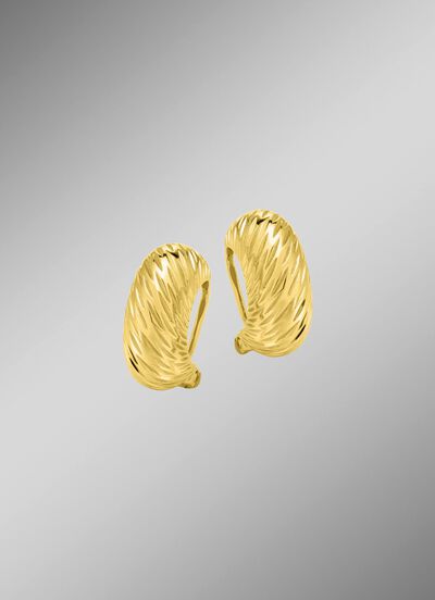 Stijlvolle verfijning &ndash; elegante oorclips van 925/- fijn zilver 