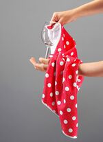 Microvezel vaatdoekenset, 10-delig 