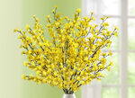 Bedrieglijk echt uitziende forsythia-takken, set van 5 