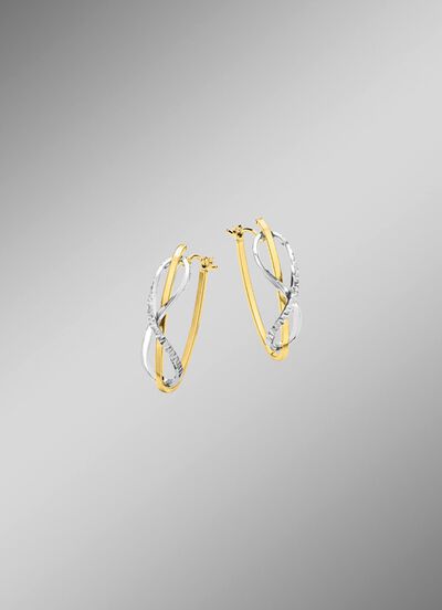 Creolen in twee kleuren 