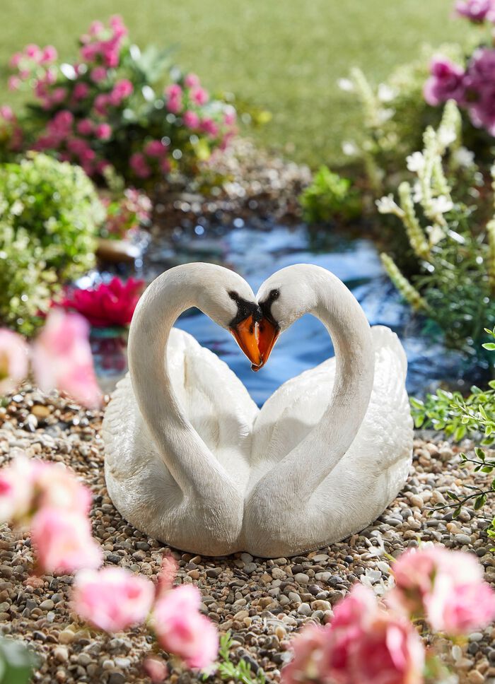 Weer- en vorstbestendige zwanen 