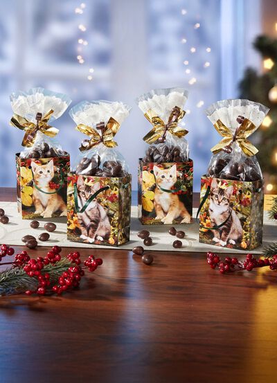 Cadeautas herfstkittens 