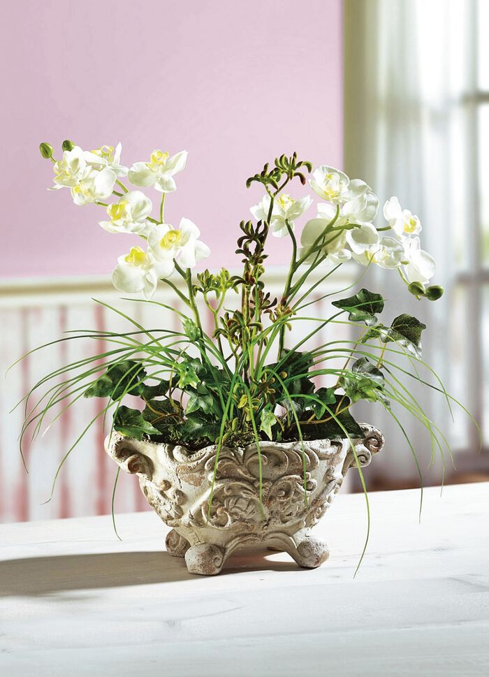 Orchidee arrangement in een kleipot 