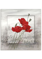 Stel je klaprozen voor op een mistige ochtend 