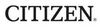 Citizin_logo_detail