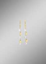 Stijlvolle oorhaken met zirkonia 