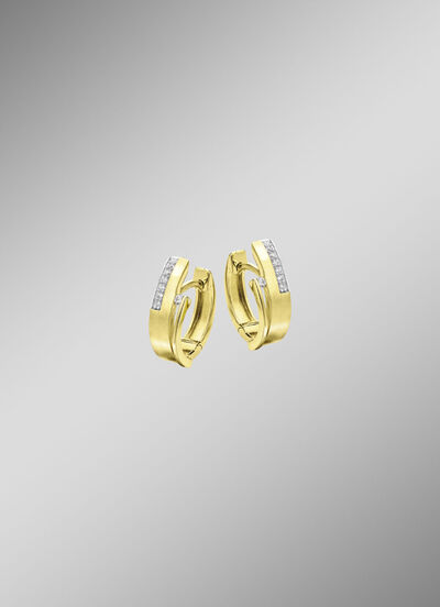 Elegante creolen 