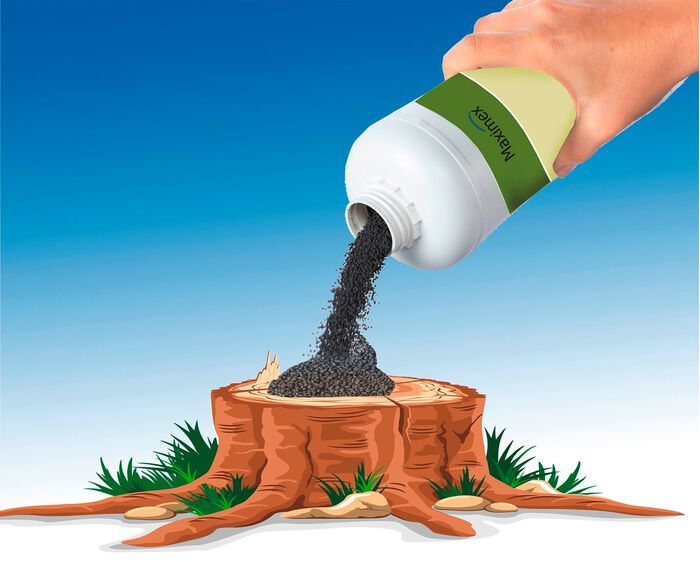 Wortelkanaalgranulaat van Maximex 