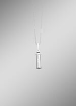 Vulbare ashanger dierenpoot 