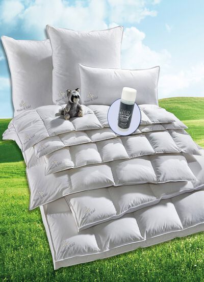 Prachtige donsdekens serie Weiss &amp; Edel van OBB, made in Germany 