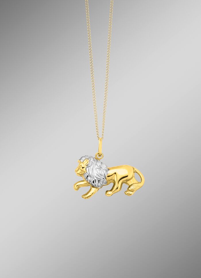 Leeuwenhanger in tweekleurig 