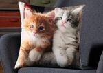 Kussenhoes met kittenmotief in fluweellook MULTICOLOR