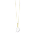 Elegantie opnieuw gedefinieerd – Vergulde hanger 