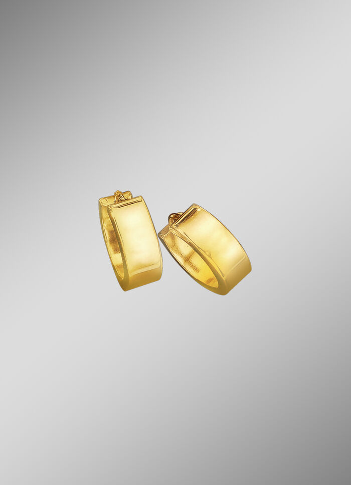 Hoogglanzende klapcreolen 