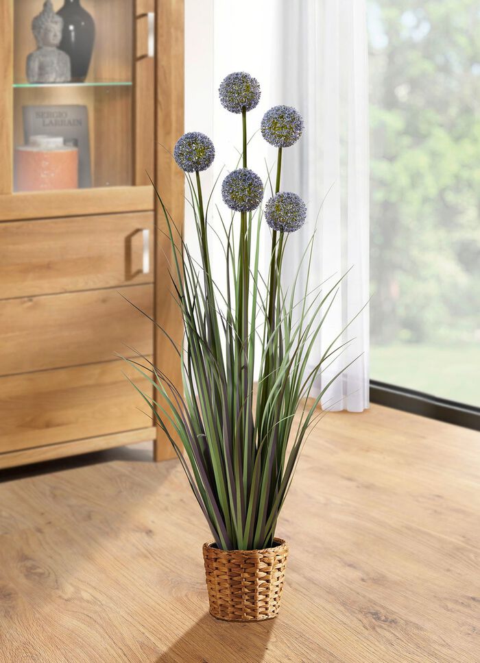 Allium arrangement in een pot 