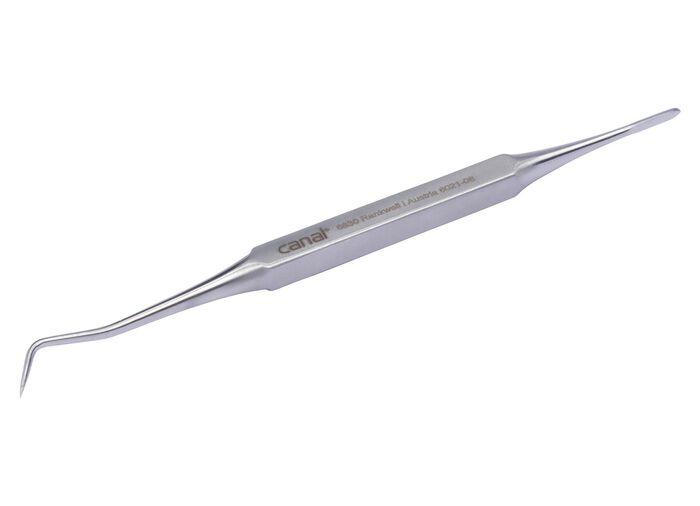 Tandenreiniger/prikker gemaakt van roestvrij staal 