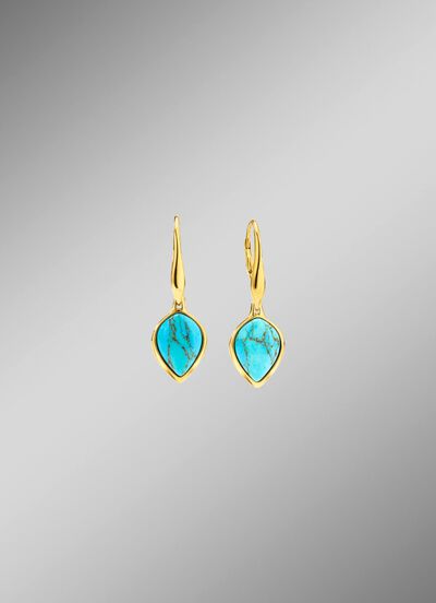 Oorbellen zilver 925/- 