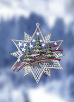 Raamdecoratie van echt kantwerk uit Plauen 