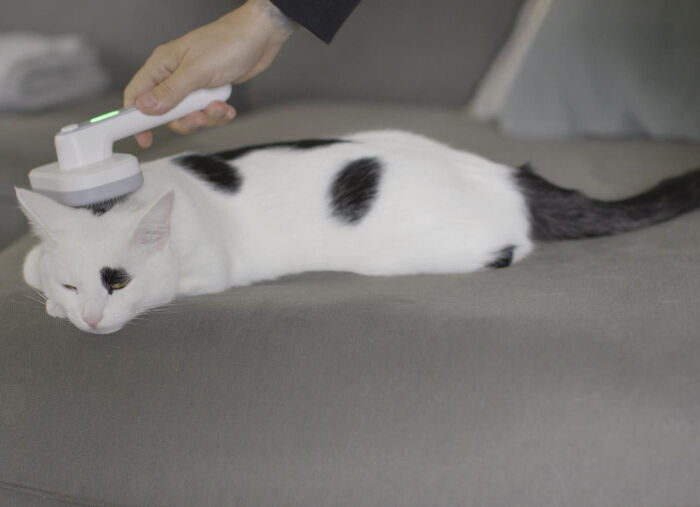 &quot;PiddiPet IonBrush&quot; borstel voor dierenhaar 