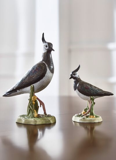 Vogel van het Jaar 2024 van Goebel 