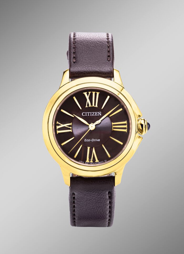 Citizen Solar dameshorloge 