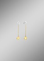 Prachtige oorbellen in twee kleuren 