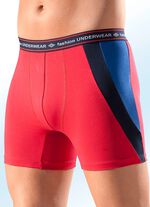 Set van vier pants, effen, met contrasterende inzetstukken 