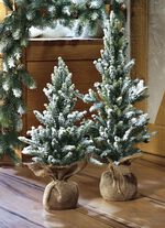 Kerstbomen in een jute zak 