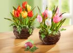 Tulpen in een rieten mand 