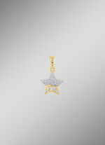 Sterhanger met 20 diamanten 