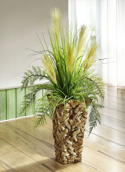 Rietgras in pot 