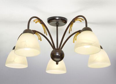 Plafondlamp met ijzeren frame 