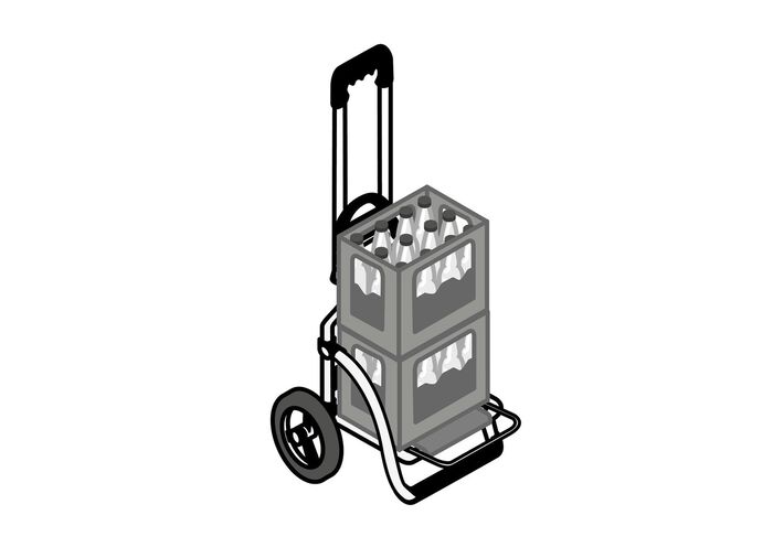 Lichtgewicht en stille Royal Shopper boodschappenscooter 