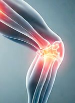 TRIGGin enkelsteun ANTRACIET-ZWART