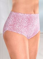 Verpakking met vier slips met roofdierdessin 