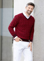 V-trui ROOD