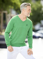 Modieuze trui met V-hals in 6 kleuren GROENE MOEDER