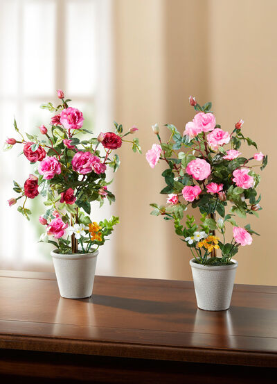 Rozenarrangement in een keramieken pot 