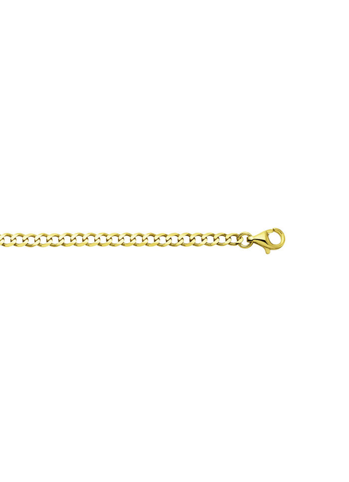 Gouden stoeprandketting 