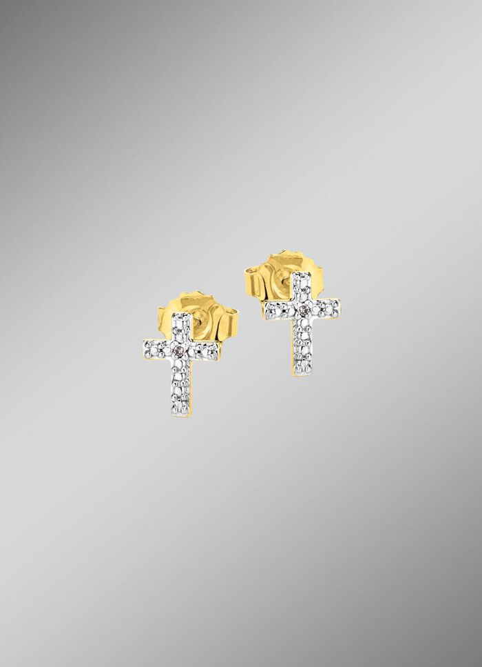 Populaire oorbellen met 2 diamanten 