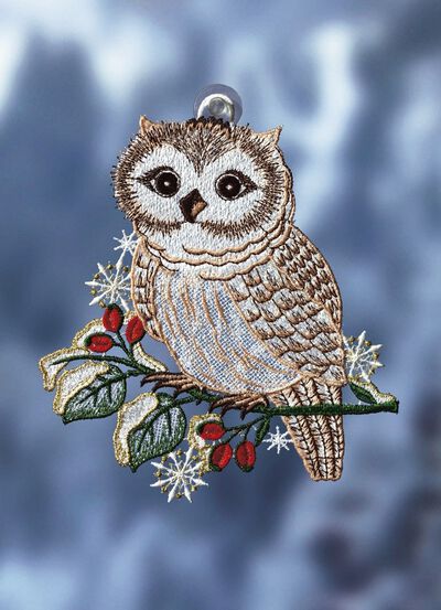 Raamfoto sneeuwuil van echt Plauen kant 