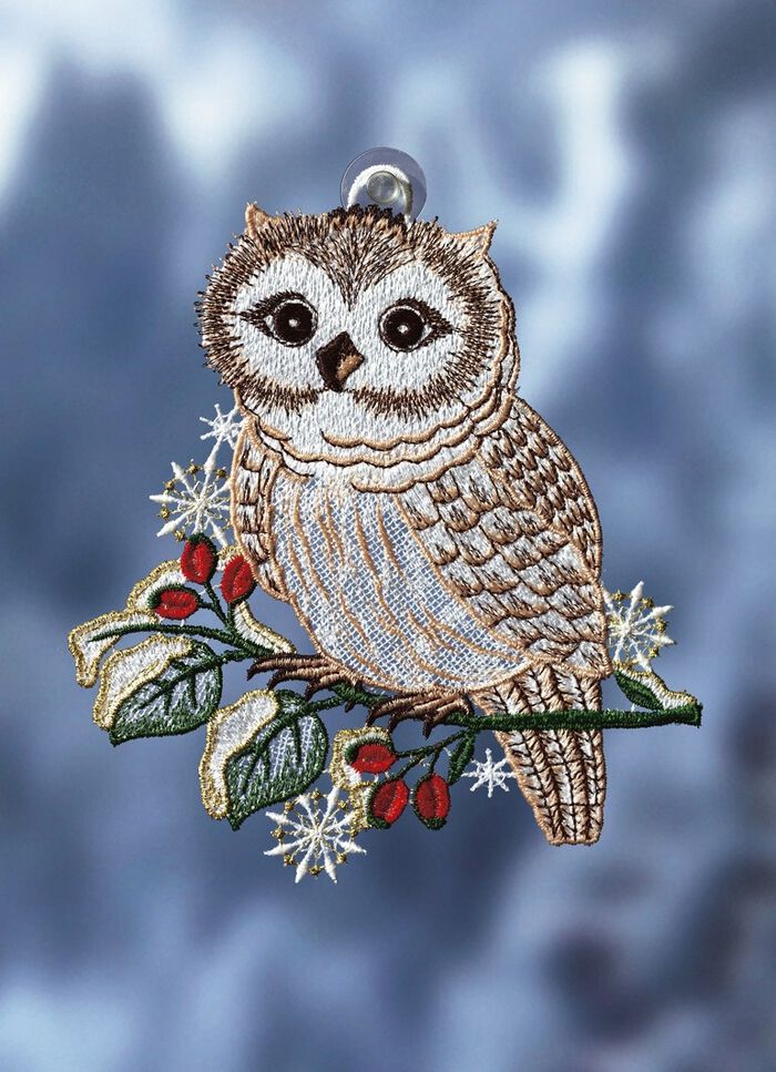 Raamfoto sneeuwuil van echt Plauen kant 