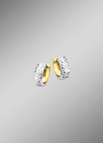 Tweekleurige creolen 