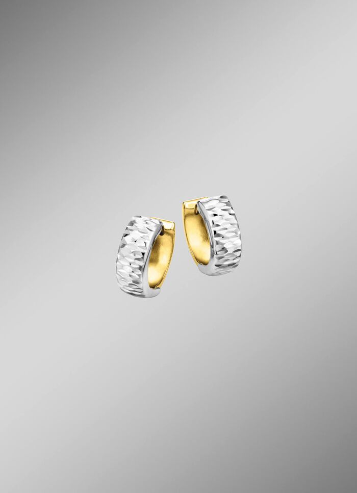 Tweekleurige creolen 